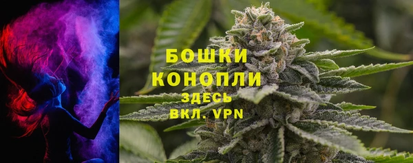 apvp Бородино