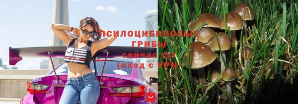 мяу мяу мука Верхнеуральск