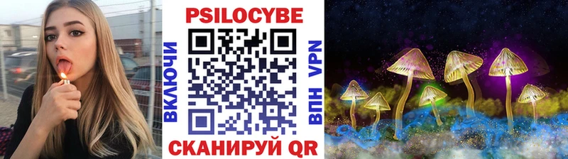 Псилоцибиновые грибы Magic Shrooms  Купить где  Макаров 