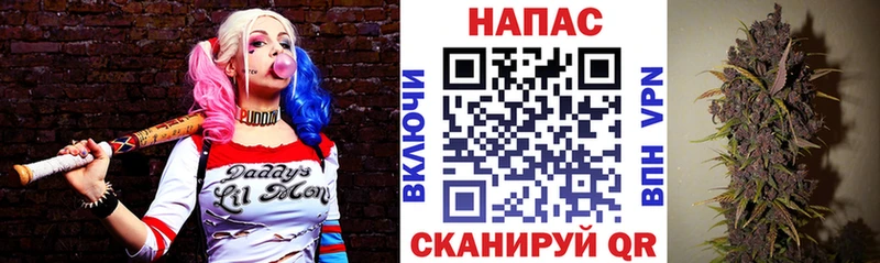 Бошки марихуана тримм  Купить закладки  Макаров 